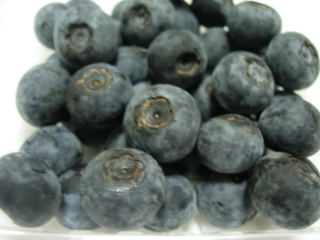 大粒のブルーベリー