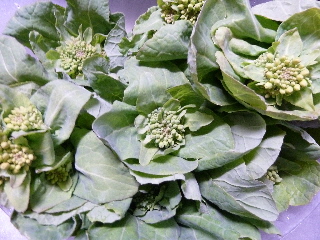 白菜の美味しい花