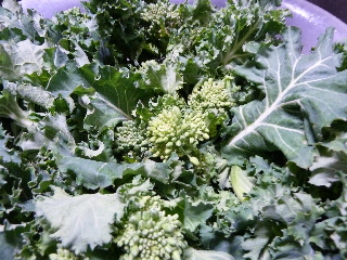 あすっこの収穫