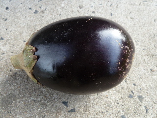 今年最後の茄子