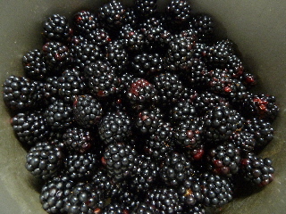 鍋半分のブラックベリー
