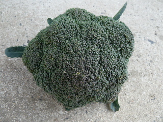 ブロッコリー美味しいといいな。