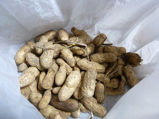 美味しい国産落花生