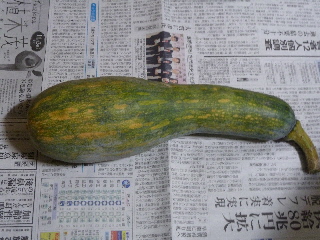 ひょうたんかぼちゃ