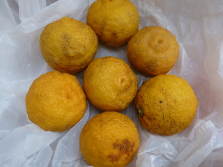 japan 柚子もそろそろ終わりです。 3月