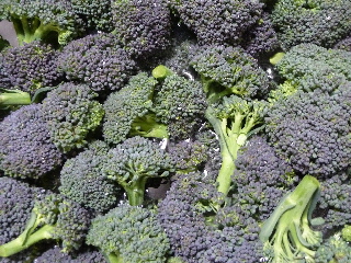 大量なブロッコリー