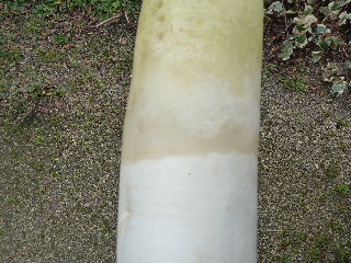 凍った大根　凍傷だ