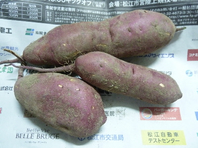 美味しいさつまいも
