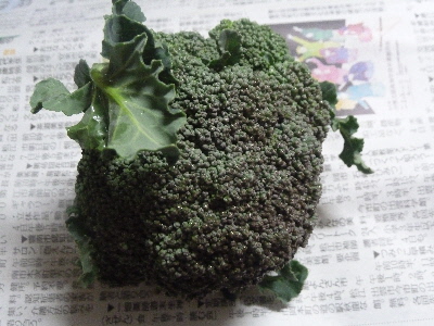 不作のブロッコリー