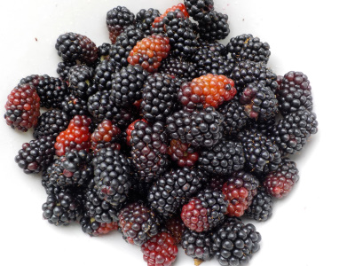 ブラックベリージャムの作り方