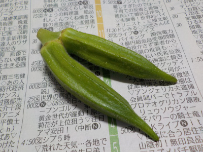 双子のオクラ