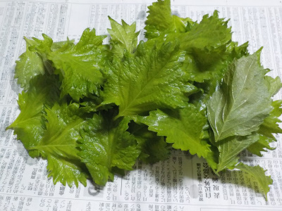 夏は大葉でアクセントでしょう。