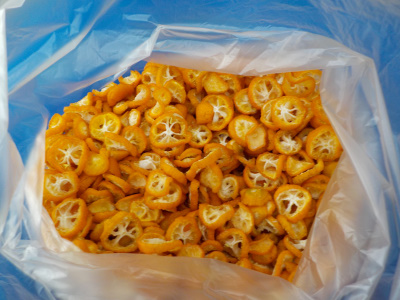 ドライキンカン完成