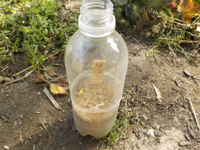 リンゴとペットボトル