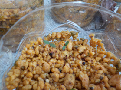 ブルーベリーの発芽