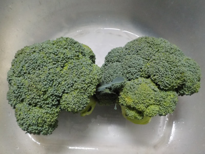 家庭菜園のブロッコリー