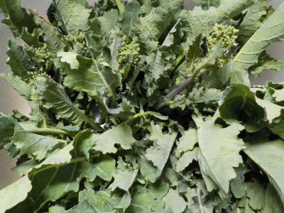 不味そうなアスッコ