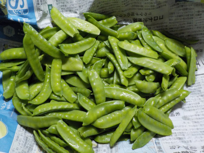 サヤエンドウ豆の1種類のキヌサヤは美味しい。