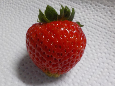 サントリーらくなりイチゴの味の感想