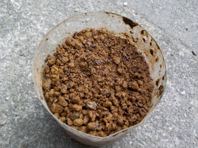 ゴールデンキウイの種蒔き