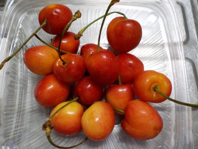 値段が高いサクランボ