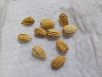 シワシワのサクランボの種の殻の中身