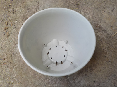 百均で自作した底面給水鉢　8号鉢