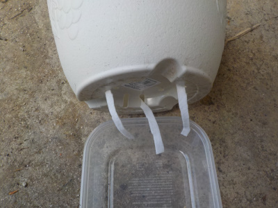 百均で自作した底面給水鉢　下から見た鉢