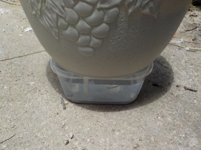 百均で自作した底面給水鉢　簡単組み立て