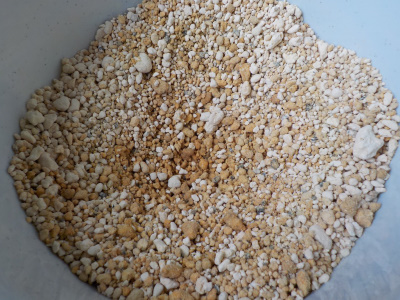 百均で自作した底面給水鉢　湿った土