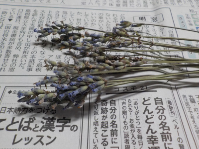 車内で乾燥させたラベンダーのドライフラワー