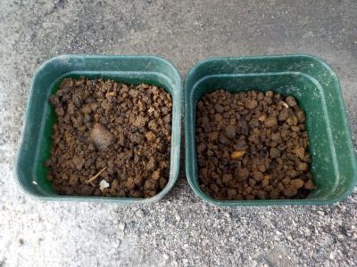 じゃがいもの皮は失敗。