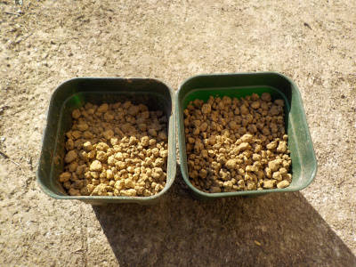 じゃがいもの皮からじゃがいもの苗を育てようと思っています。プラス2