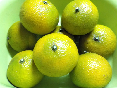 緑色のスイートスプリングを収獲し始めました。