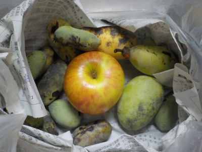 ポポーのためにリンゴを買いました。