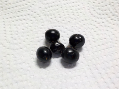 桜の種を拾いました。