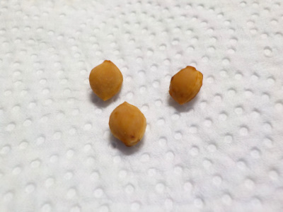 桜の種を拾いました。