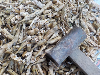 japan 大根のサヤはとても硬いですね。 8月