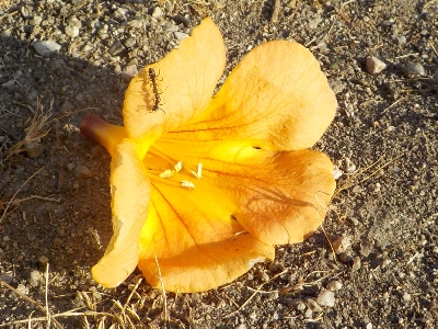 japan 特に何もしないで夏休みが終わった。 8月