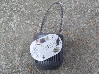 japan 風蘭用に吊り鉢を買いました。 6月