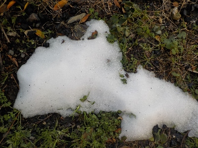 japan 寒波が緩んだので外で動いてました。 1月