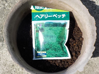 japan ヘアリーベッチ・ナモイを活用するつもりです。 3月