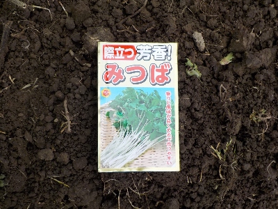 japan 畑に畝を作って三つ葉の種蒔きをしました。タネがいっぱい余った。 3月